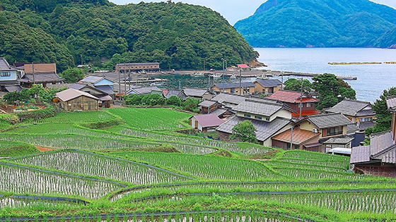 農林・水産